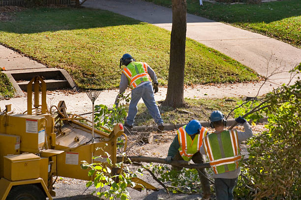 Wauconda, IL Tree Service Company